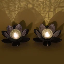 Bezauberndes Solar Lotusblüten Duett