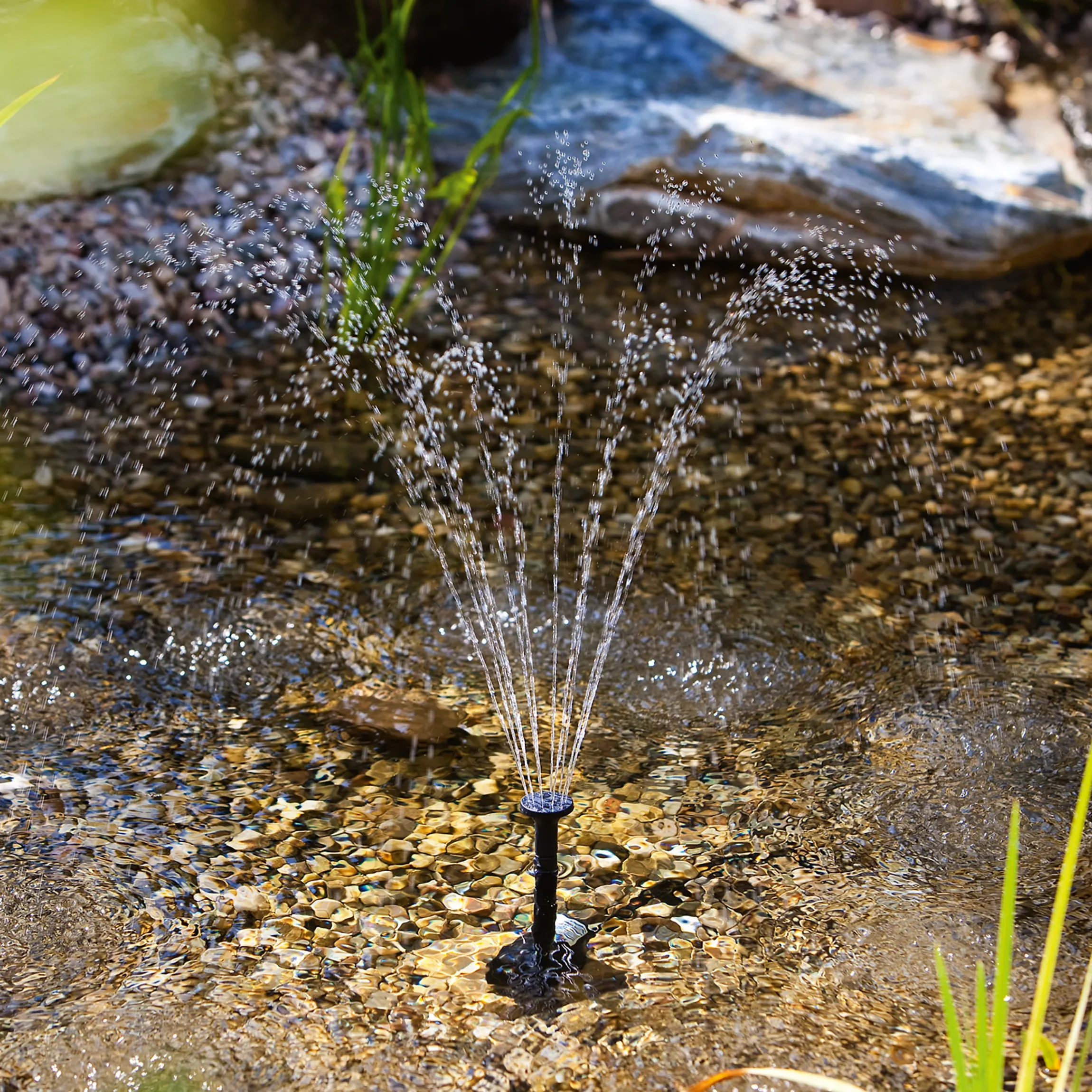 Einzelpumpe Fountain 330/450 mit Trockenlaufschutz