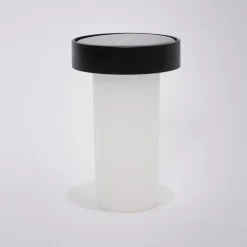 Leuchtenoberteil mit 12 LEDs, inkl. Akku
