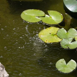 Schwimmender Solar Teichbelüfter 1,8/120
