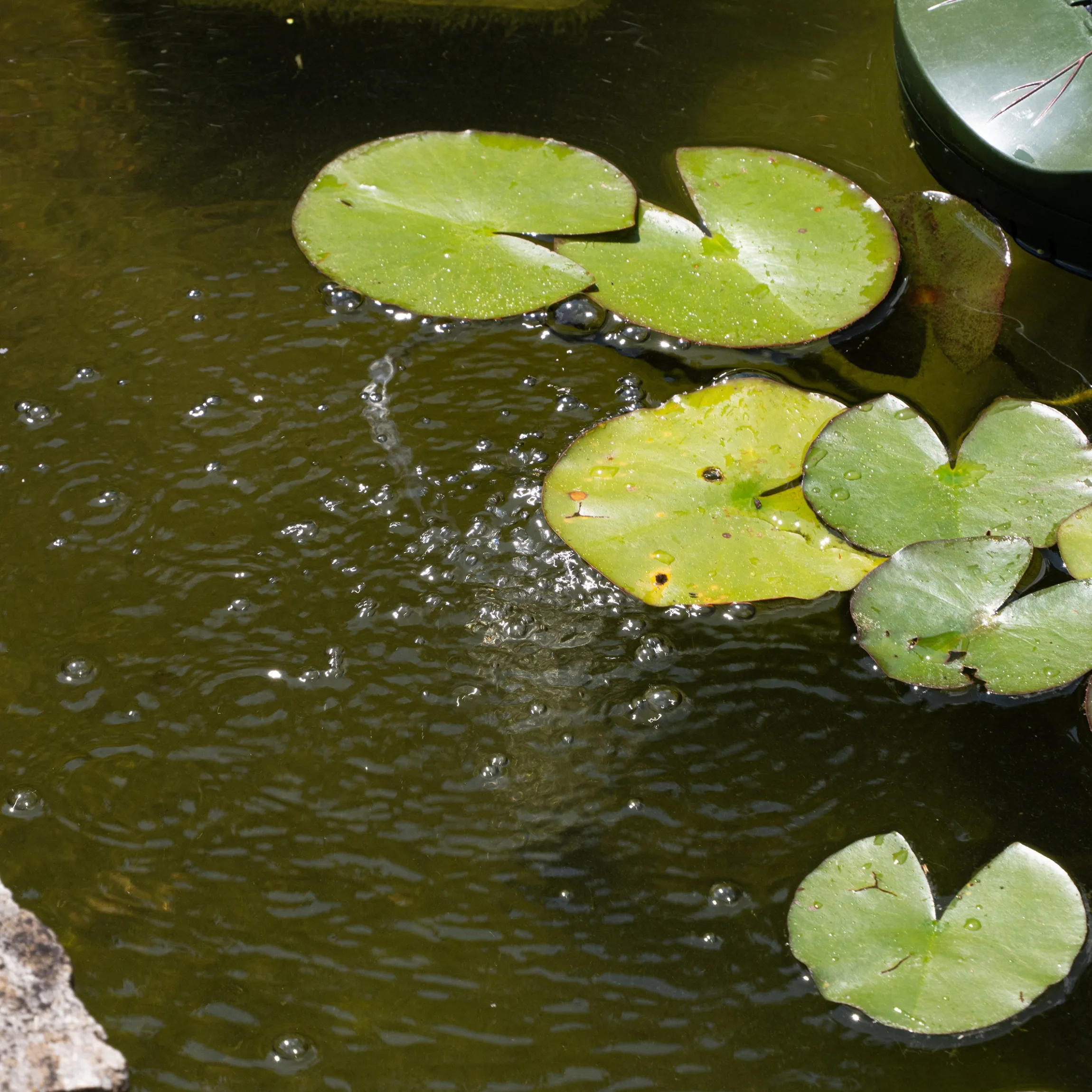 Schwimmender Solar Teichbelüfter 1,8/120