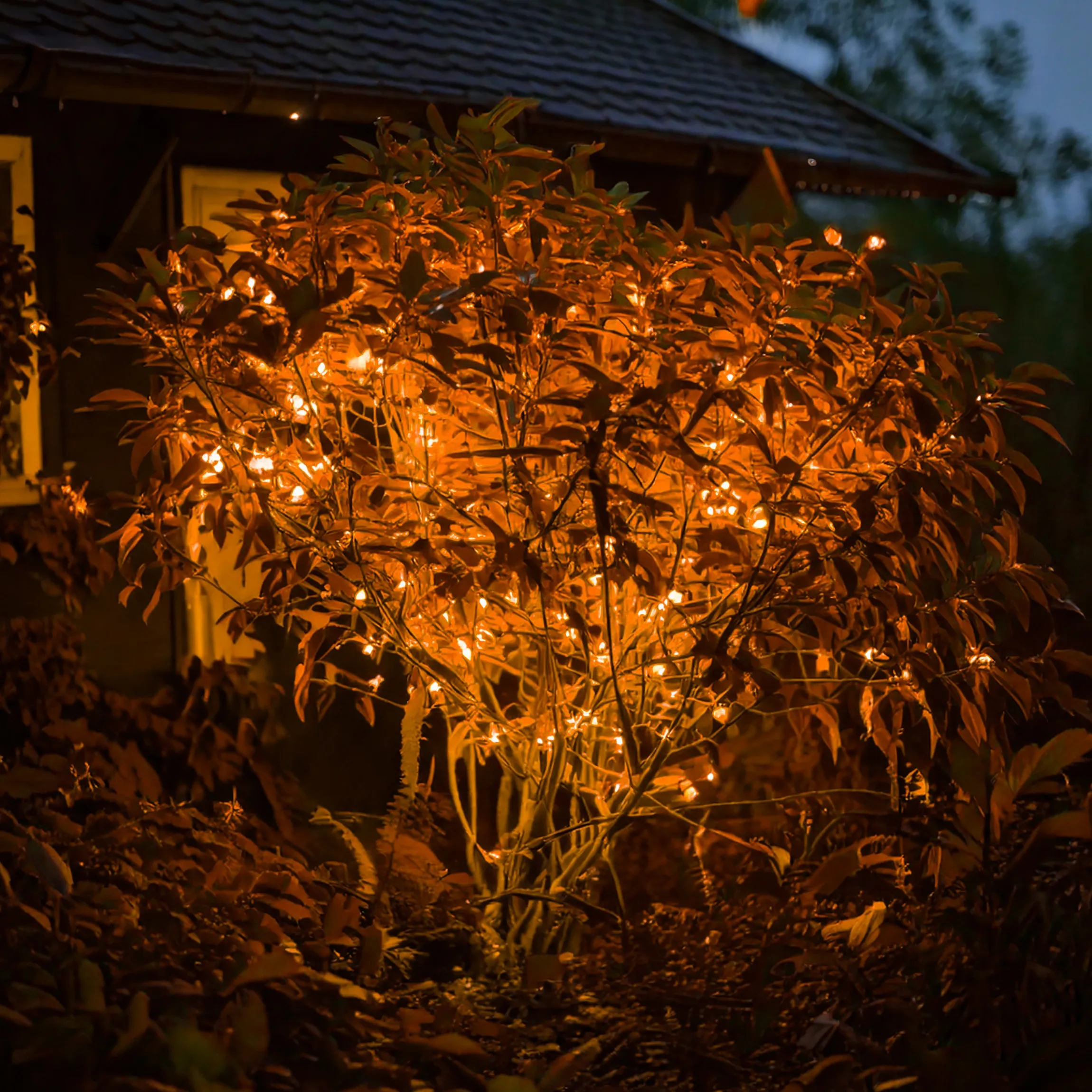 Solar Lichterkette mit 60 bernsteinfarbenen LEDs
