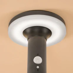 Solar PIR-Standleuchte Mia 85 cm in schwarz