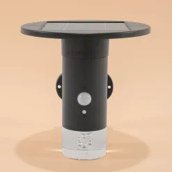 Solar Wandleuchte Biella mit Bewegungssensor