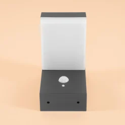 Solar Wandleuchte Nala mit Bewegungssensor