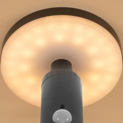 Solar Wandleuchte Ribolla mit Bewegungssensor