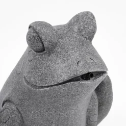 Solar Wasserspeier-Set Frosch