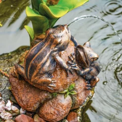 Solar Wasserspeier-Set Froschpaar auf Steinen