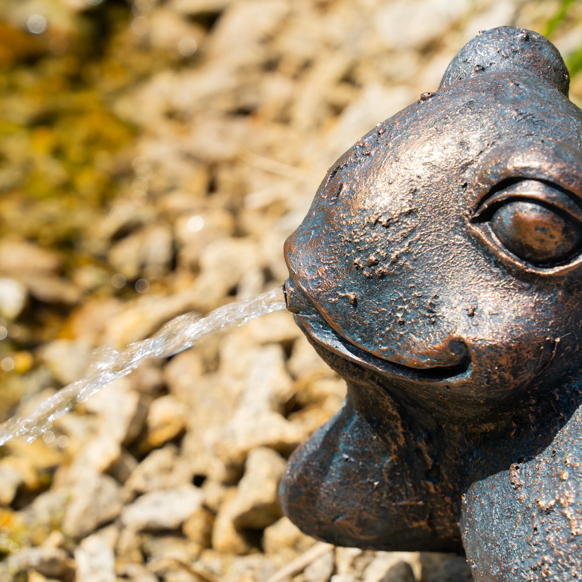 Solar Wasserspeier-Set liegender Frosch Pepe