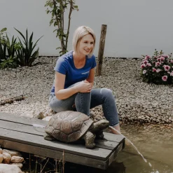 Solar Wasserspeierset Schildkröte Maru