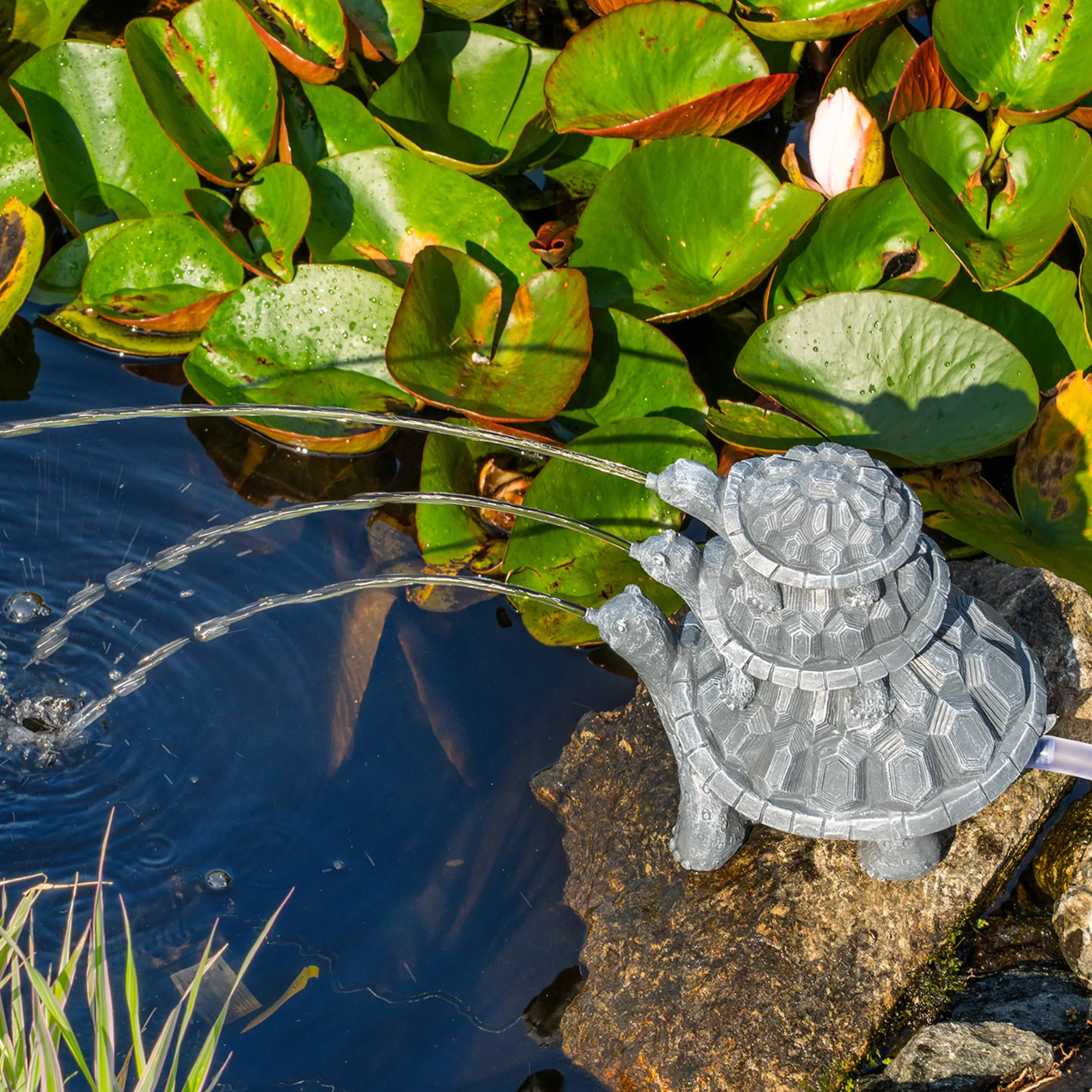 Solar Wasserspeierset Schildkröten Trio