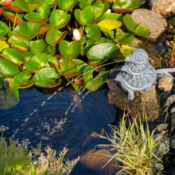 Solar Wasserspeierset Schildkröten Trio