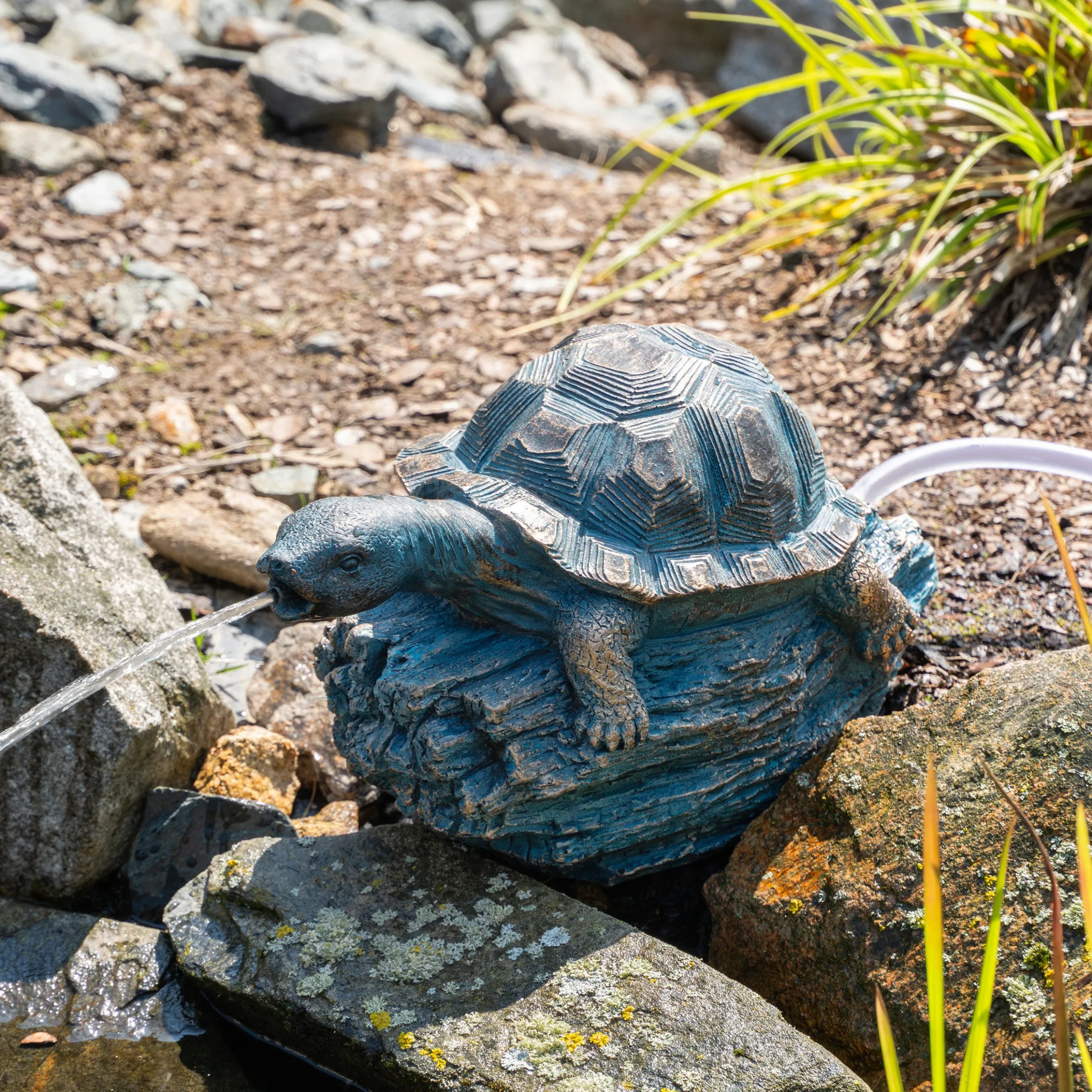 Solar Wasserspeier-Set Schildkröte Marlies