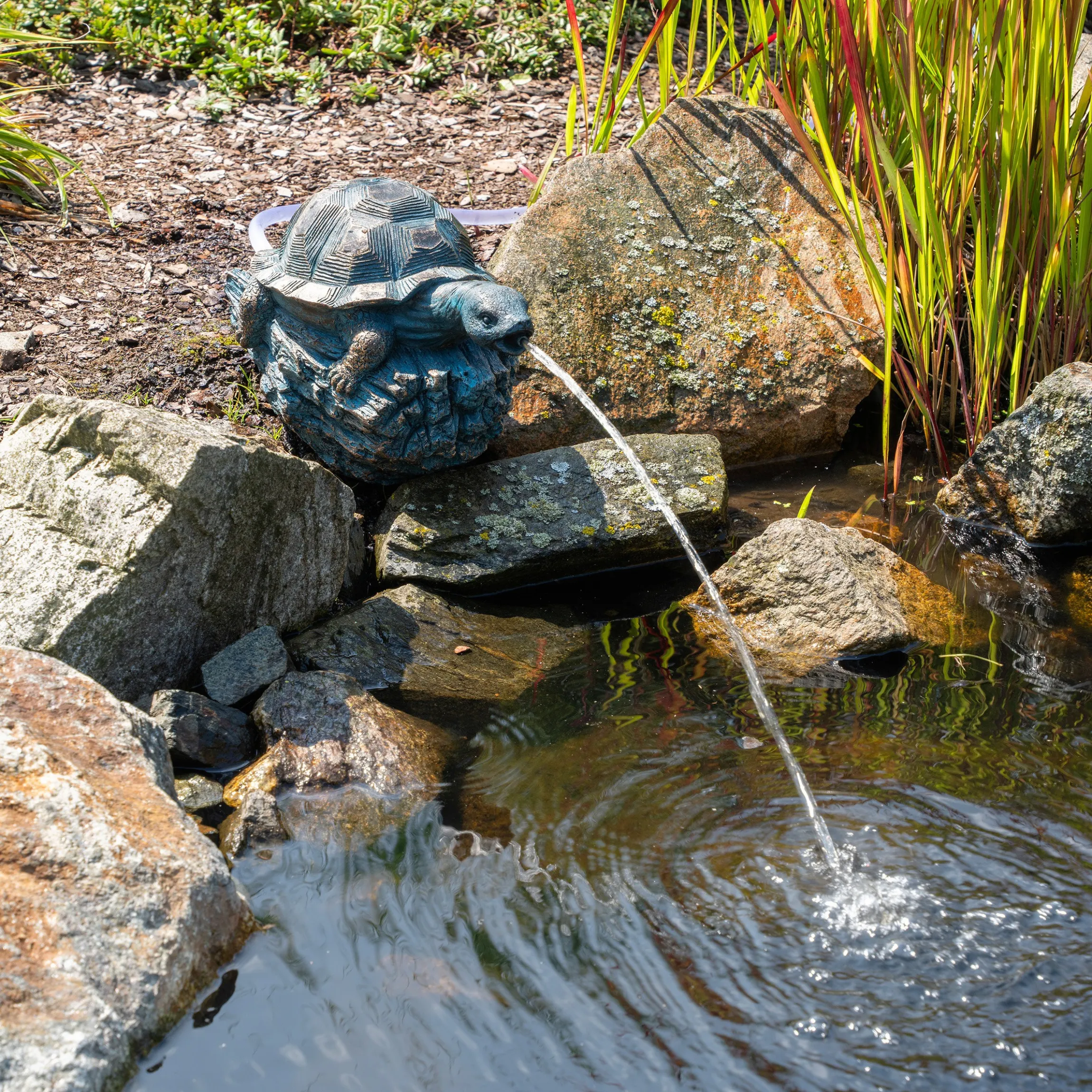 Solar Wasserspeier-Set Schildkröte Marlies