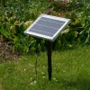 Solar Wasserspeierset Seehund Sammy