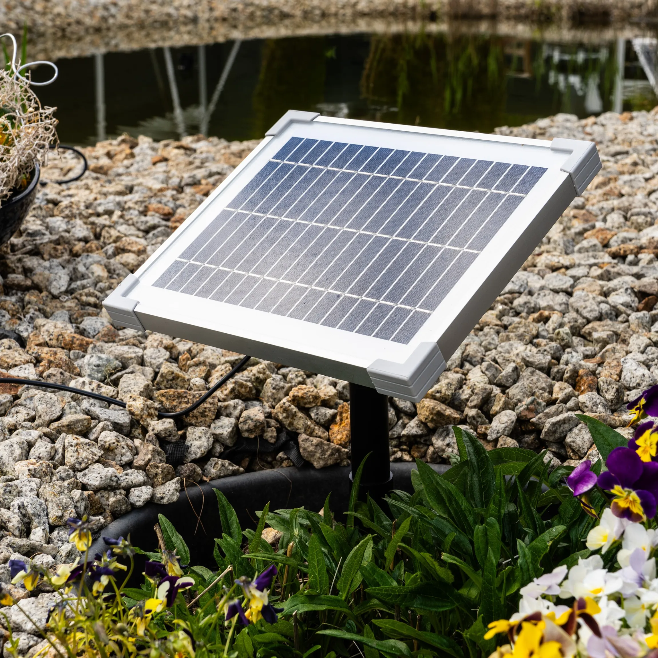 Solar Wasserspeier-Set treibender Frosch auf Seerosenblatt